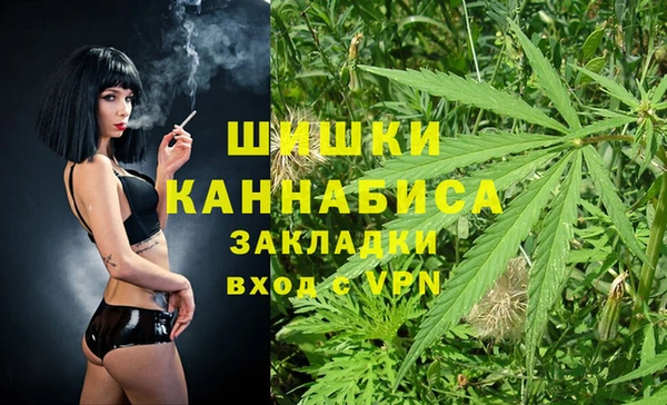 сатива Алексеевка