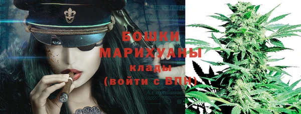 винт Новозыбков