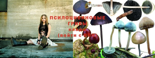 молекула духа Алзамай
