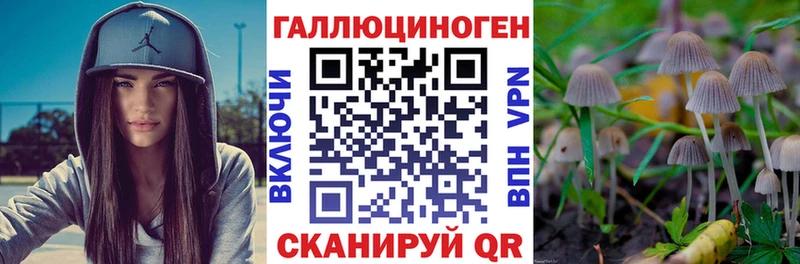 MEGA онион  Грязи  Галлюциногенные грибы мицелий 