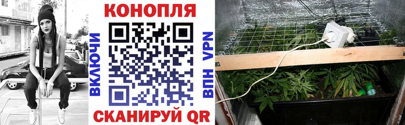 МАРИХУАНА семена где продают Грязи